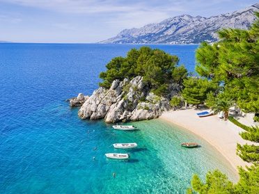 A pine-fringed cove on the Croatian coast.